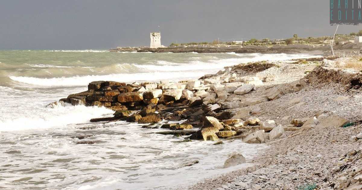 L'oasi di Torre Calderina: fra terra e mare un rifugio per piante e animali rari